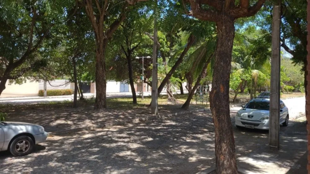 Casa, 5 quartos, 550 m² - Foto 6