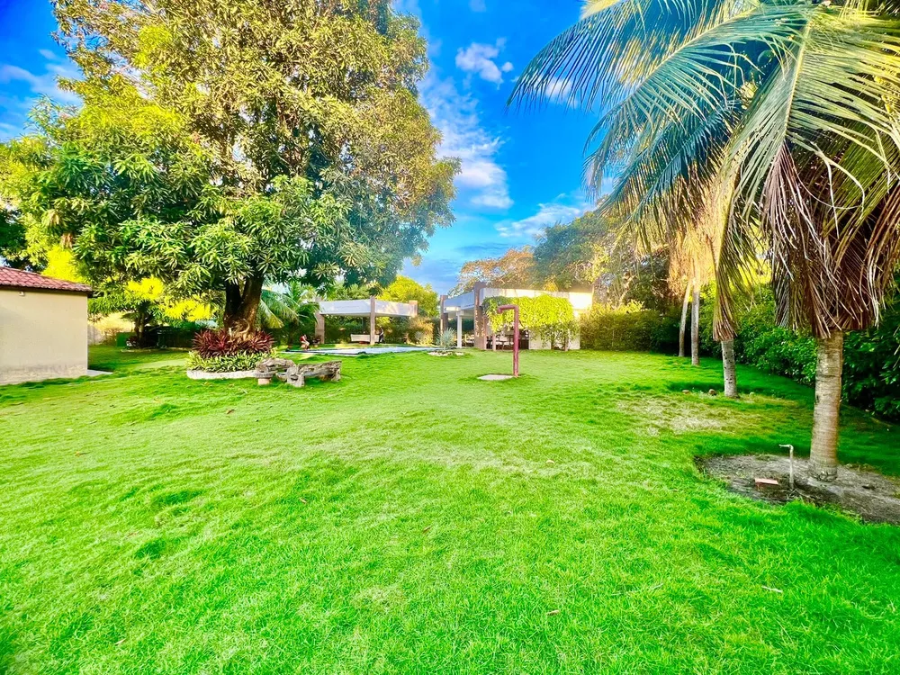 Terreno, 5000 m² - Foto 13