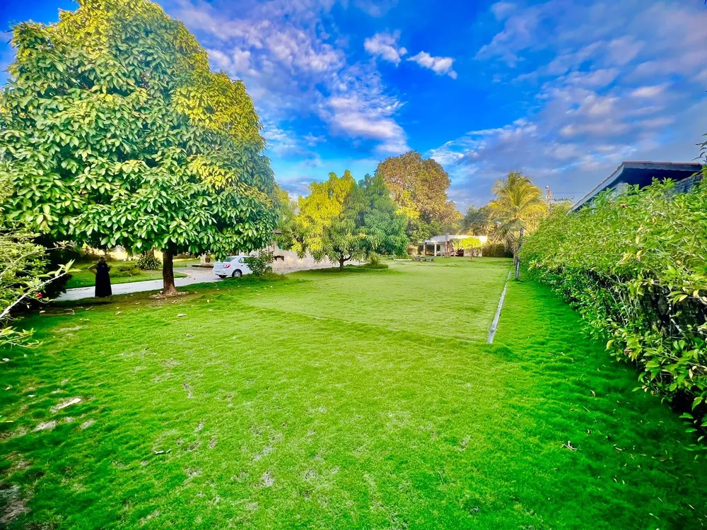Terreno, 5000 m² - Foto 6