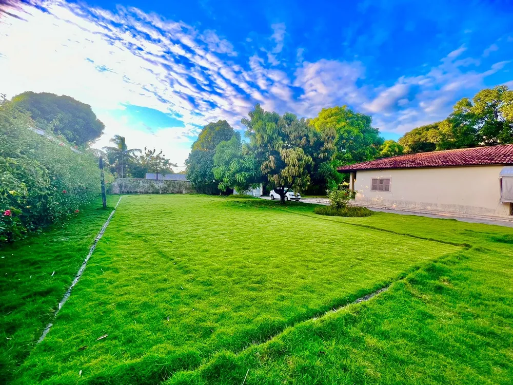 Terreno, 5000 m² - Foto 9