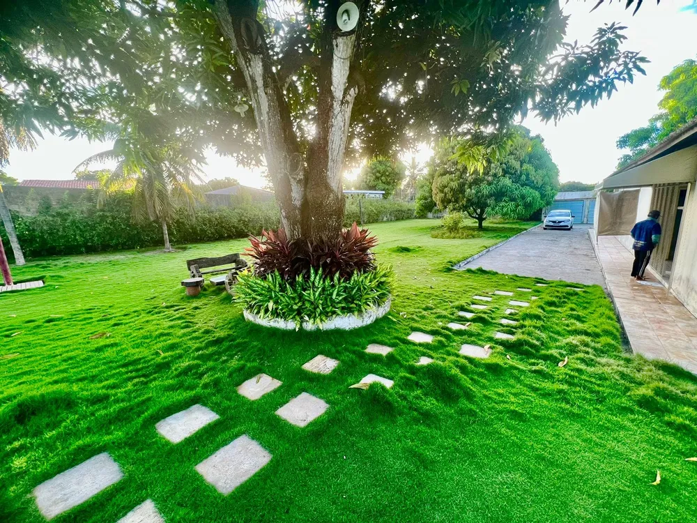 Terreno, 5000 m² - Foto 12