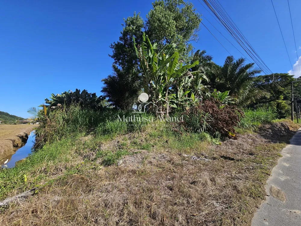 Terreno, 9097 m² - Foto 4