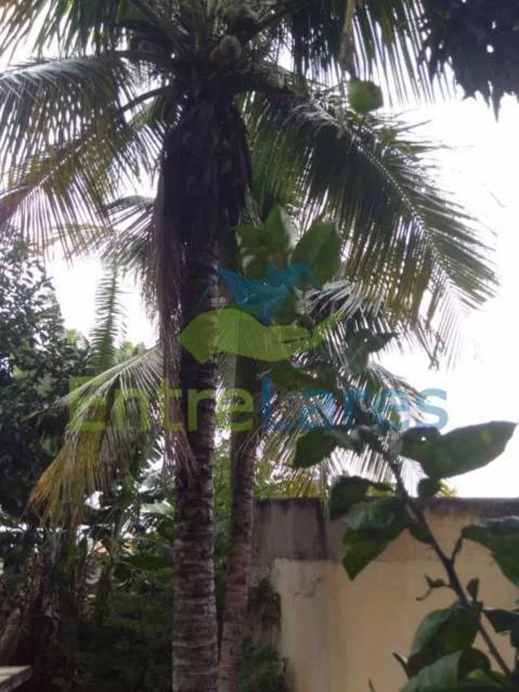 Casa, 4 quartos, 300 m² - Foto 22