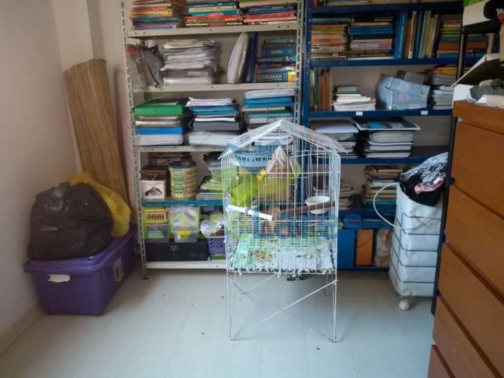 Apartamento, 2 quartos, 50 m² - Foto 18