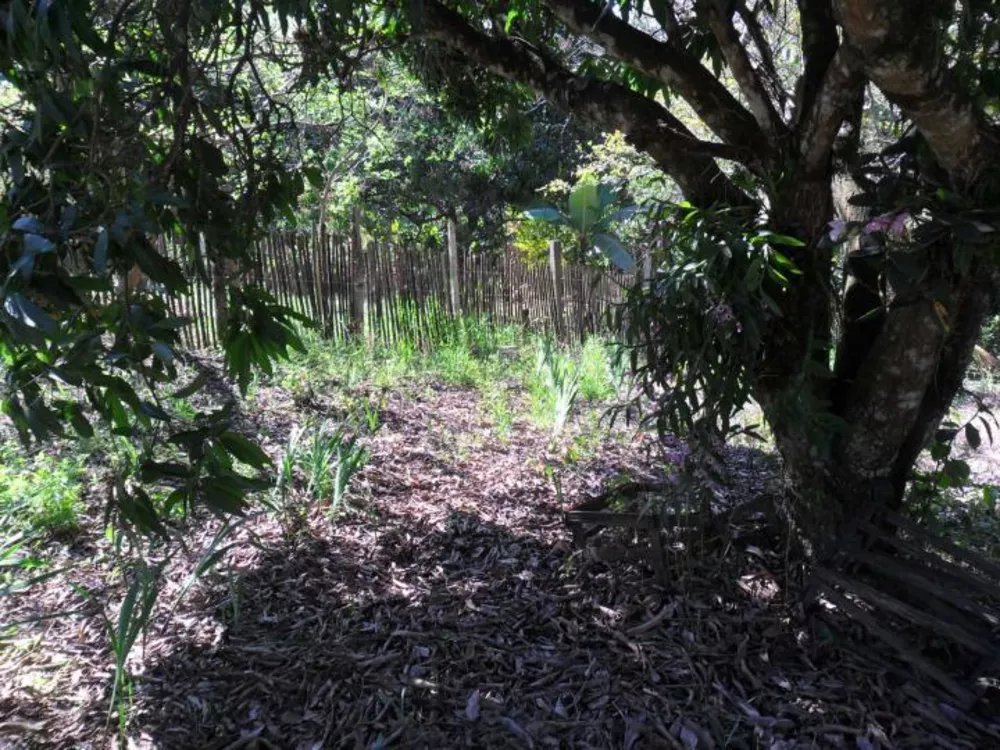 Chácara, 1 quarto, 1000 m² - Foto 2