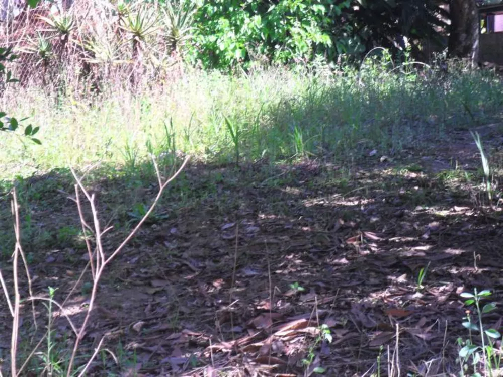 Chácara, 1 quarto, 1000 m² - Foto 1