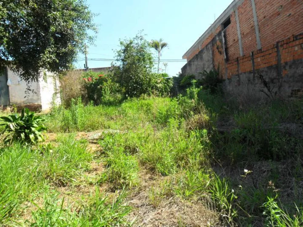 Chácara, 1 quarto, 1000 m² - Foto 3