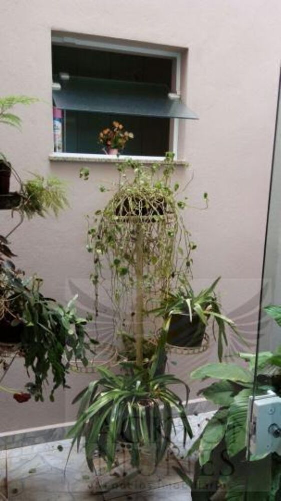 Casa, 4 quartos, 290 m² - Foto 7