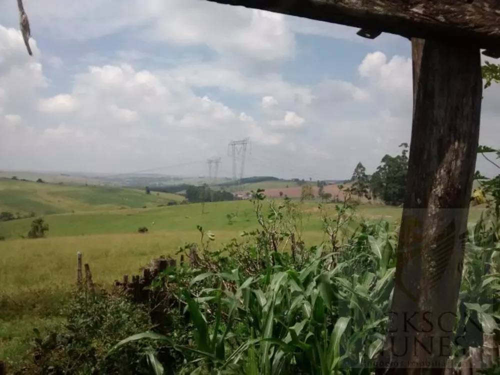 Sítio, 3 quartos, 29 hectares - Foto 13