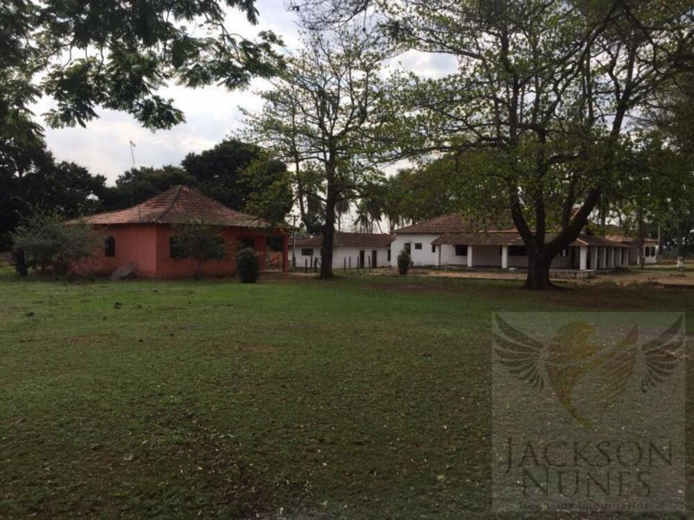 Terreno, 82 hectares - Foto 11