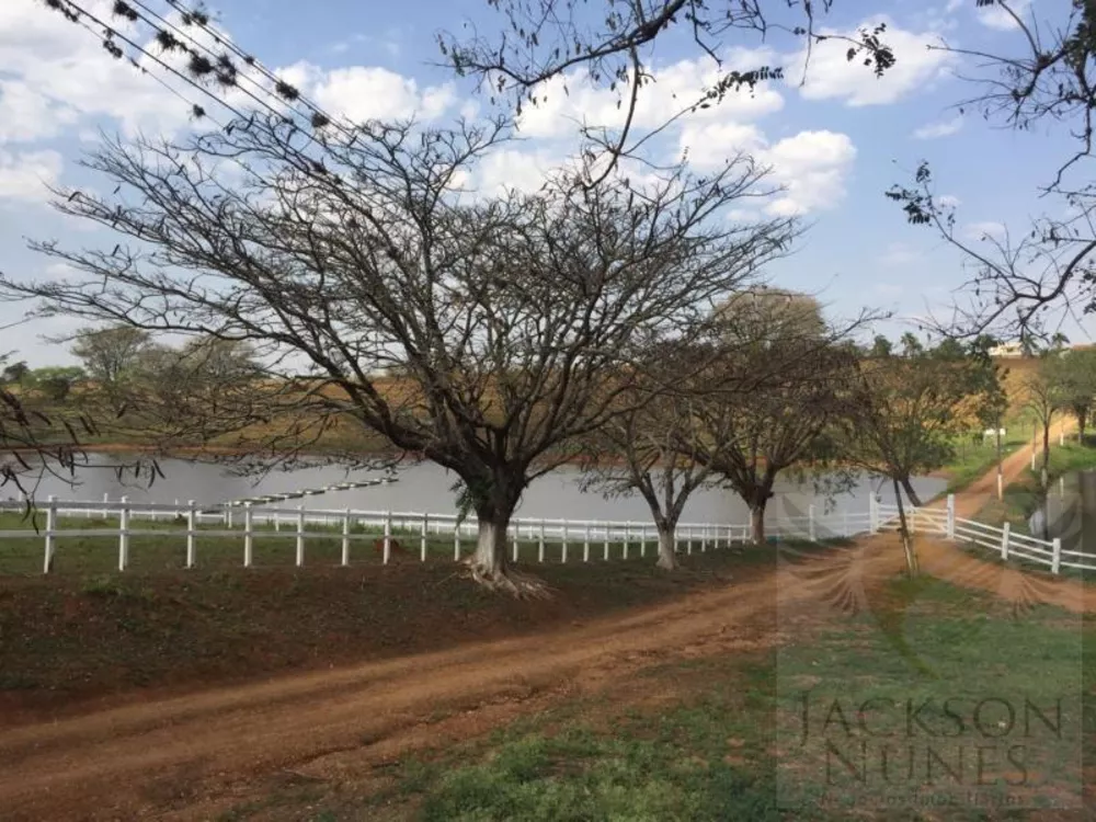 Terreno, 82 hectares - Foto 1