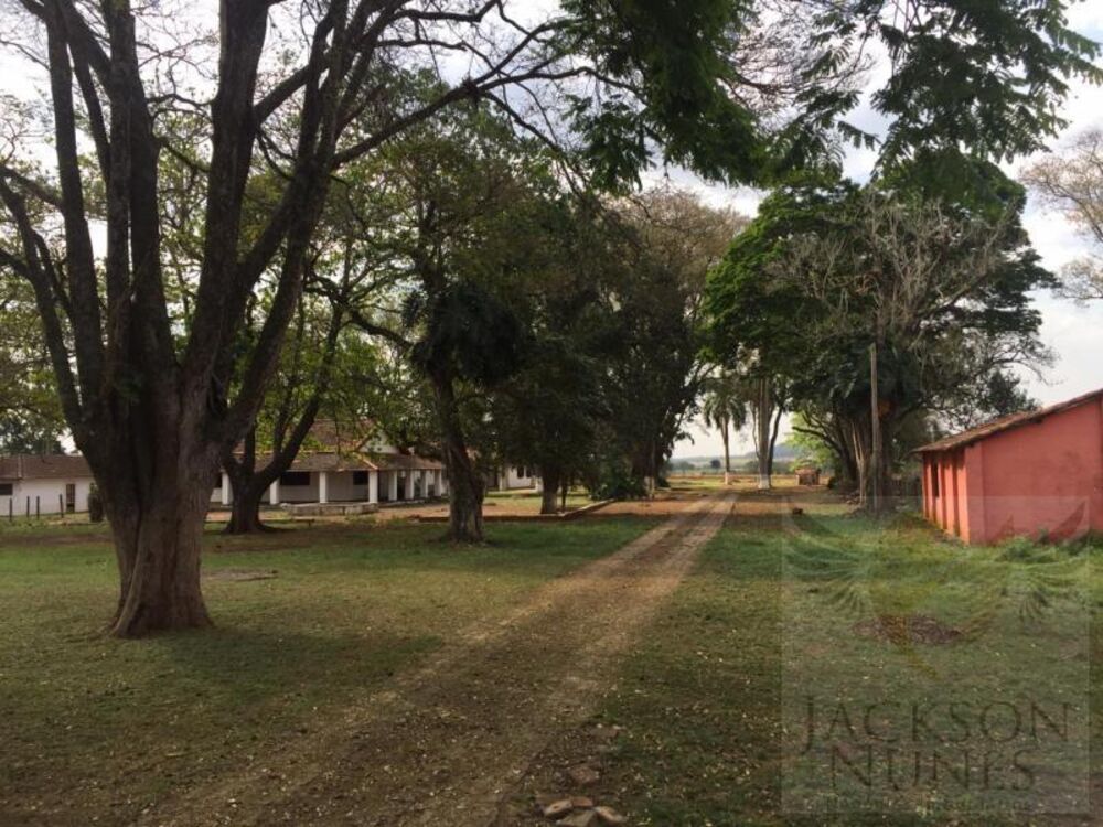 Terreno, 82 hectares - Foto 6