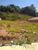 Terreno, 177 m² - Foto 1