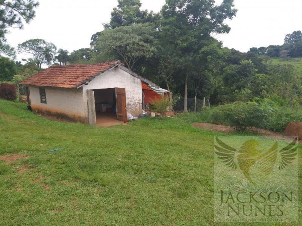 Chácara à venda com 4 quartos, 40000m² - Foto 3