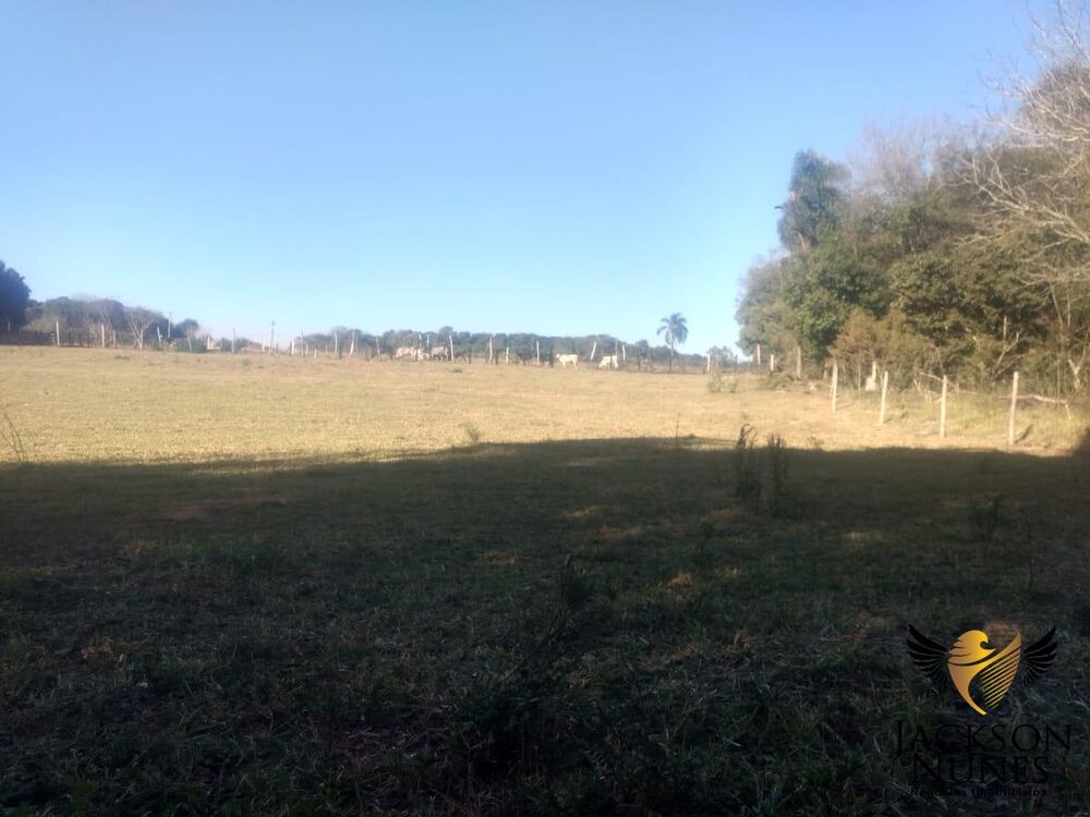 Sítio à venda, 81000m² - Foto 2