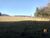 Sítio, 8 hectares - Foto 2