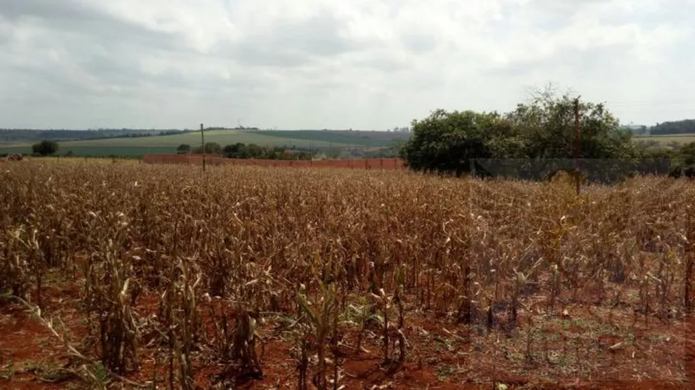 Chácara, 1 quarto, 2 hectares - Foto 2