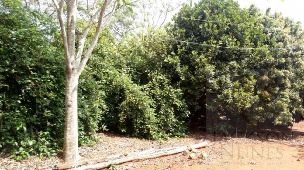 Chácara, 1 quarto, 2 hectares - Foto 8