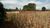 Chácara, 1 quarto, 2 hectares - Foto 4