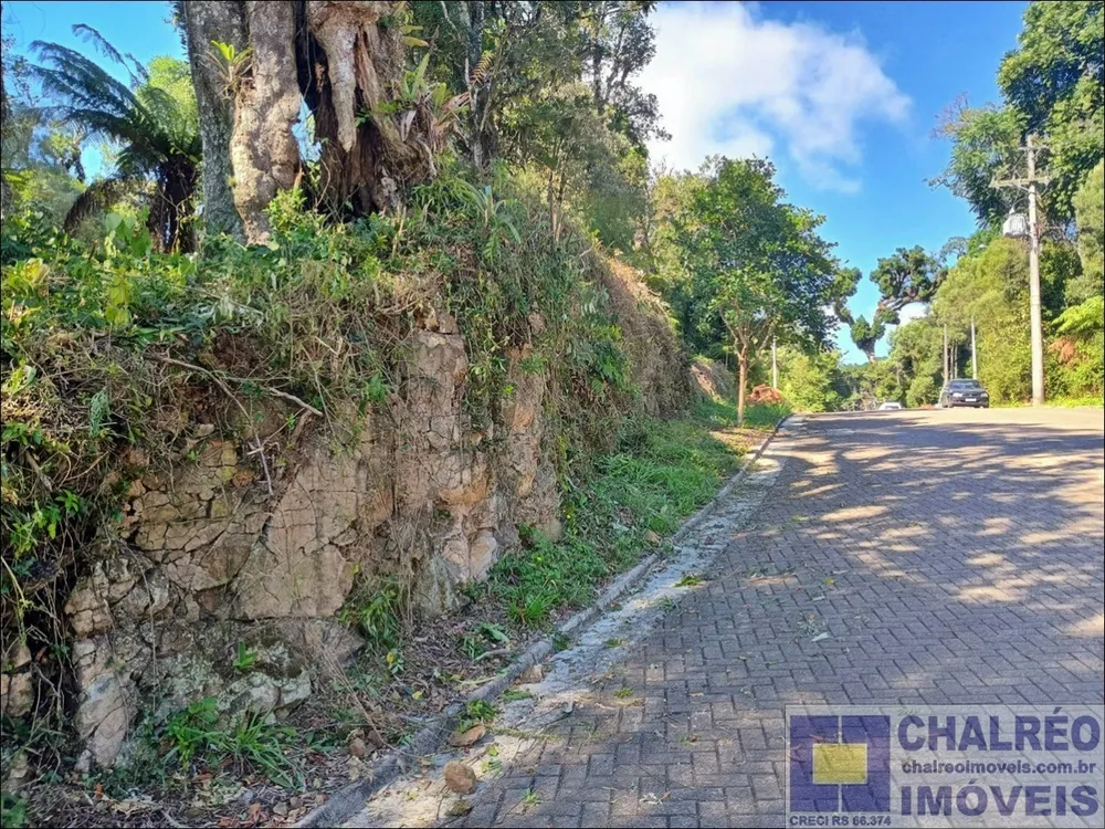 Terreno, 641 m² - Foto 4