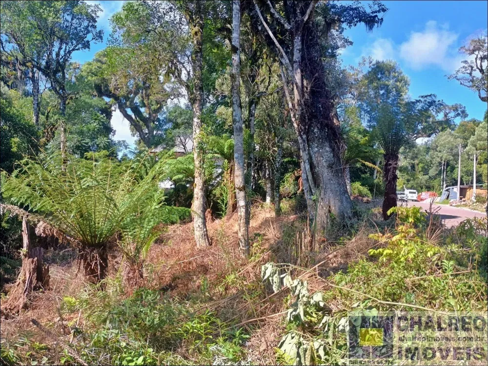 Terreno, 641 m² - Foto 8