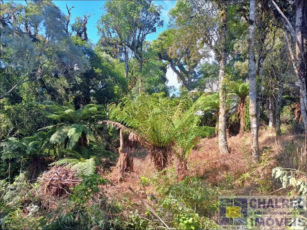 Terreno, 641 m² - Foto 6