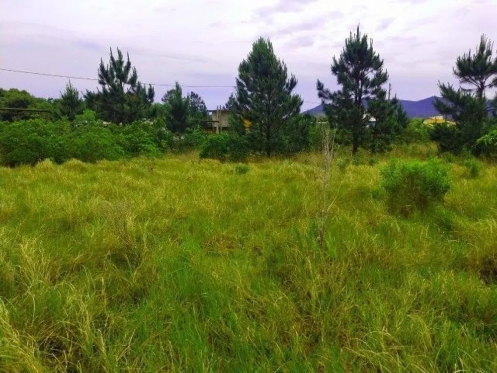 Terreno, 1198 m² - Foto 3