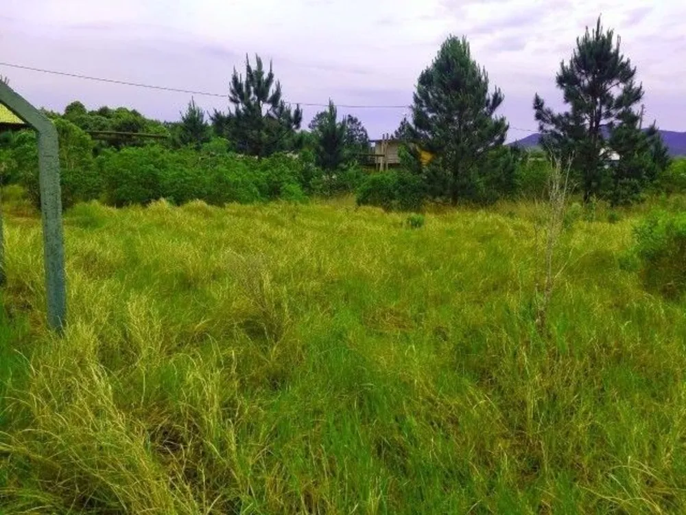 Terreno, 1198 m² - Foto 2