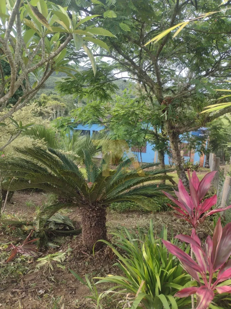 Casa, 3 quartos, 140 m² - Foto 5