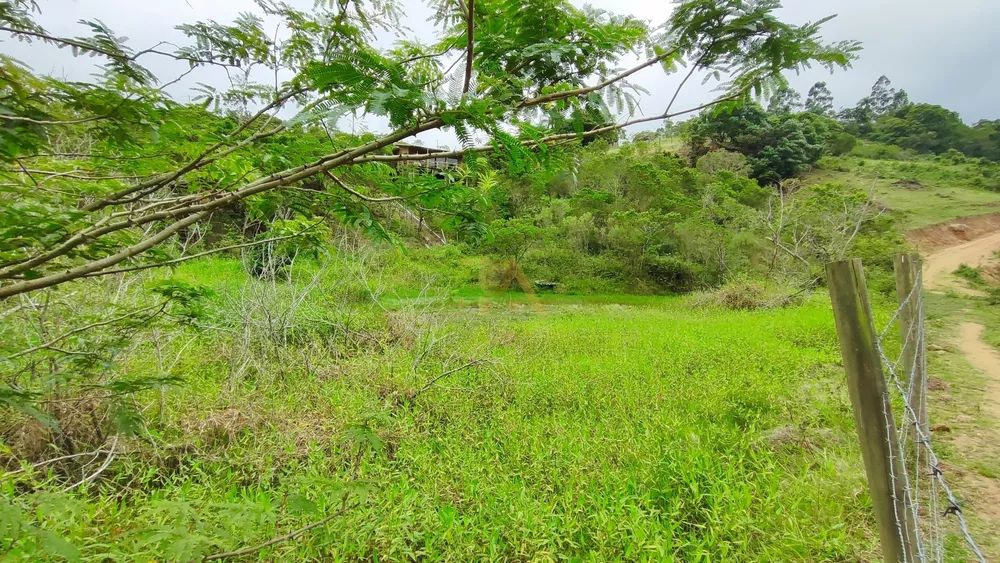 Terreno à venda, 2100m² - Foto 4