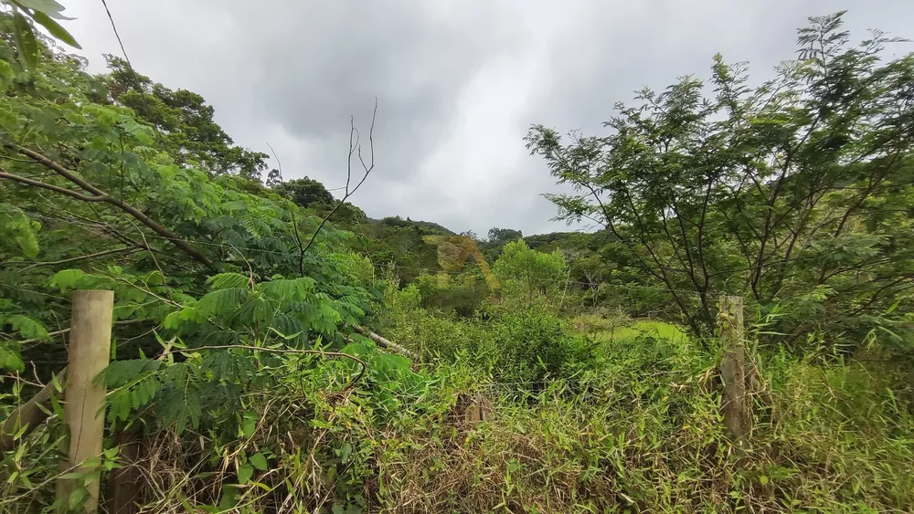 Terreno à venda, 2100m² - Foto 2