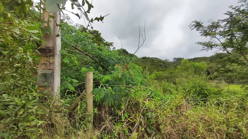 Terreno à venda, 2100m² - Foto 3