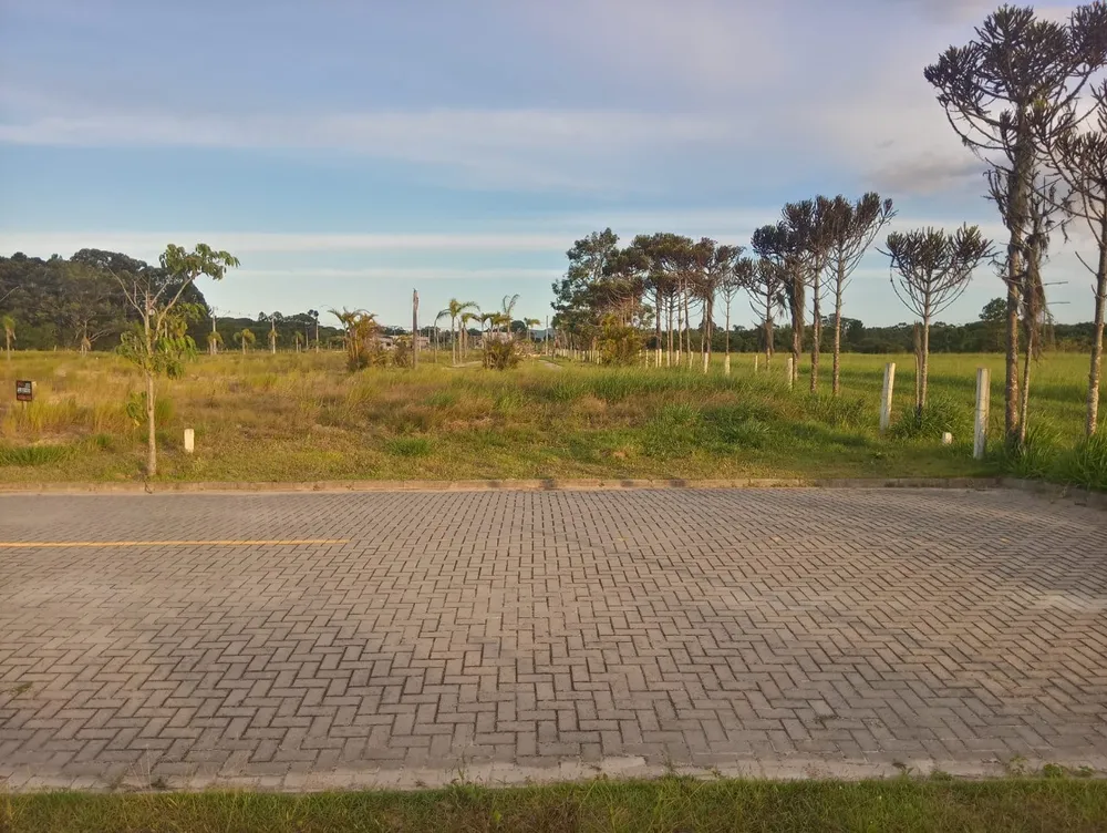 Terreno, 361 m² - Foto 3