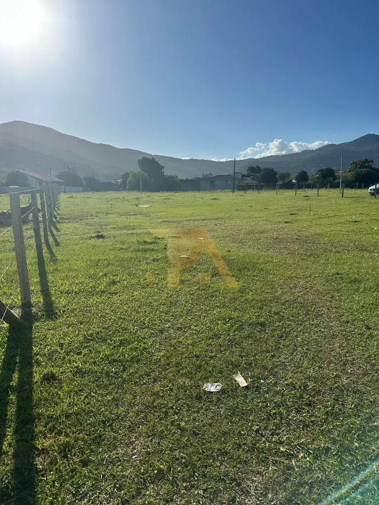 Terreno, 1491 m² - Foto 6