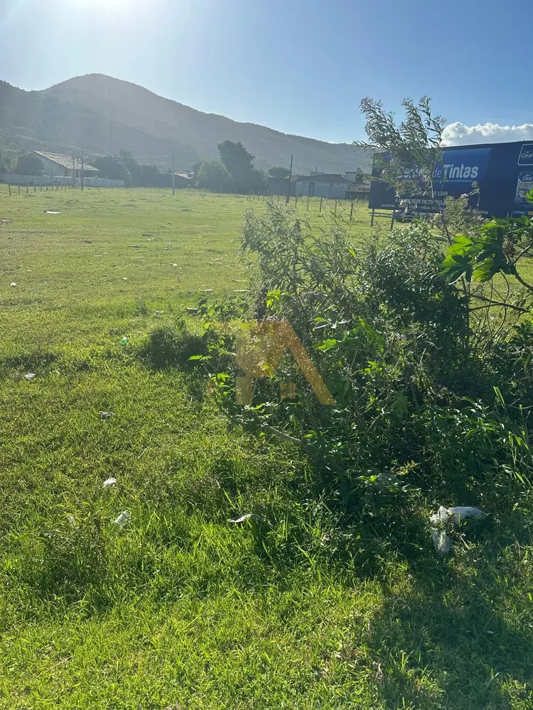 Terreno, 1491 m² - Foto 4