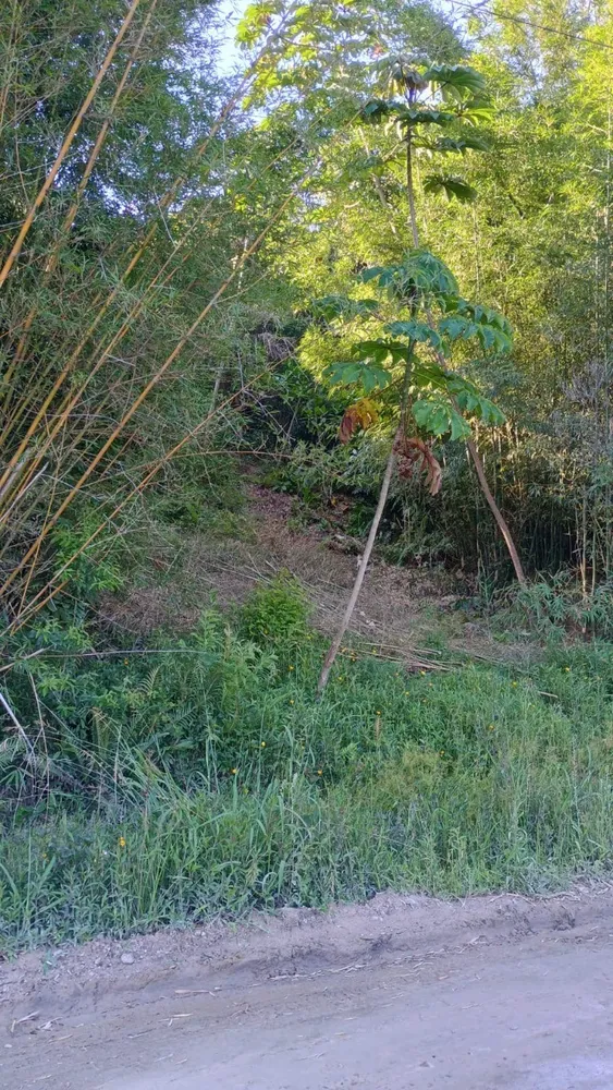 Terreno, 560 m² - Foto 1