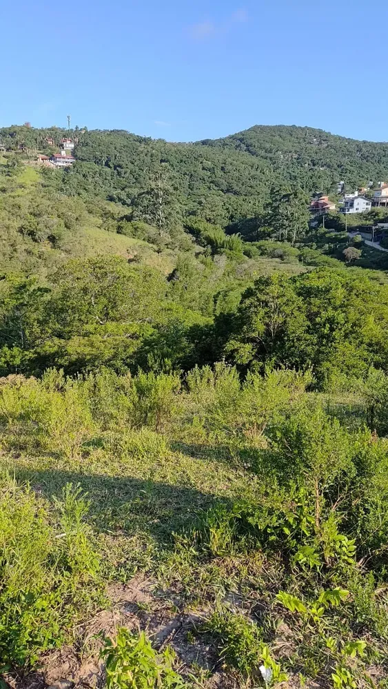 Terreno, 560 m² - Foto 6
