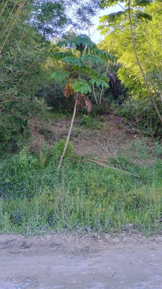 Terreno, 560 m² - Foto 4