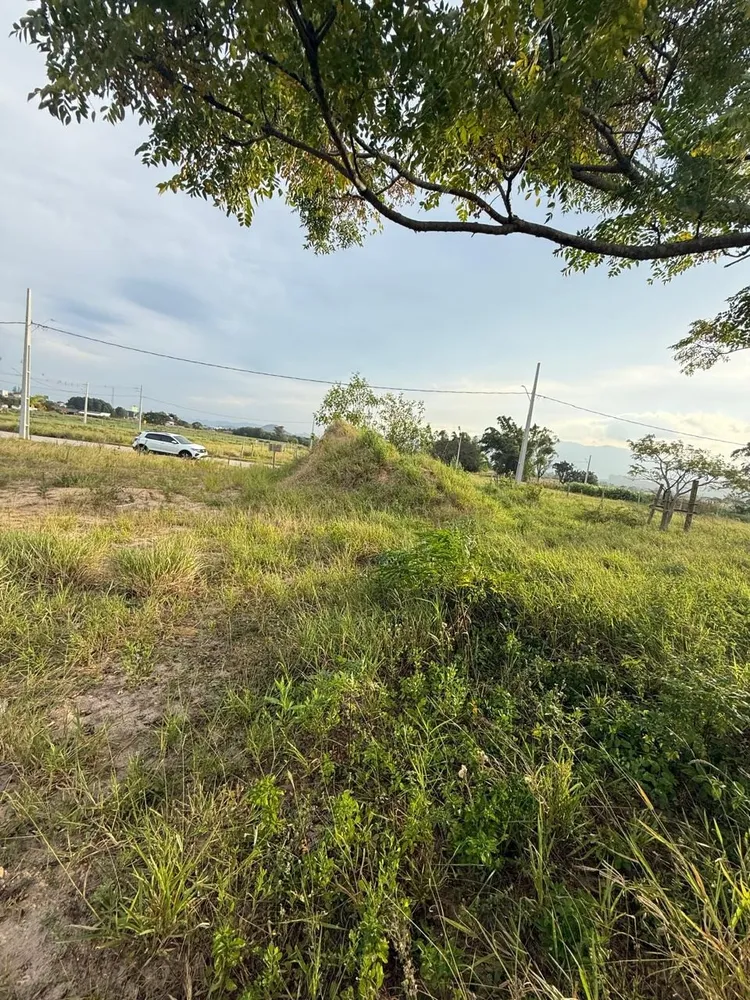 Terreno, 360 m² - Foto 6