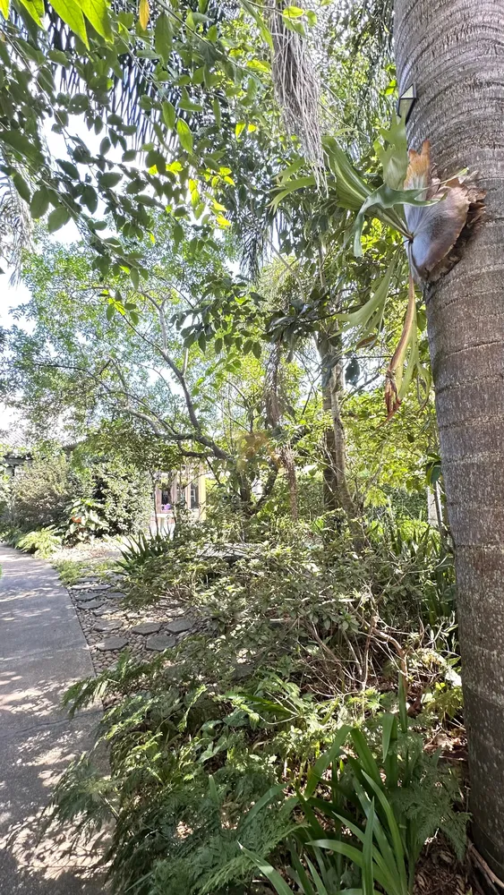 Casa, 3 quartos, 100 m² - Foto 11