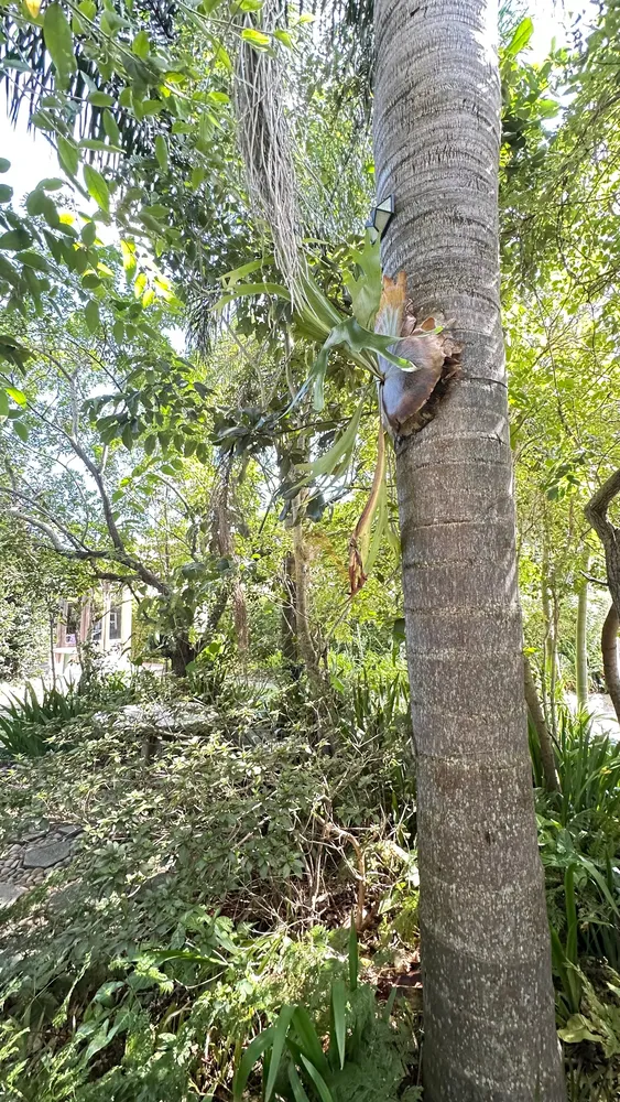 Casa, 3 quartos, 100 m² - Foto 10