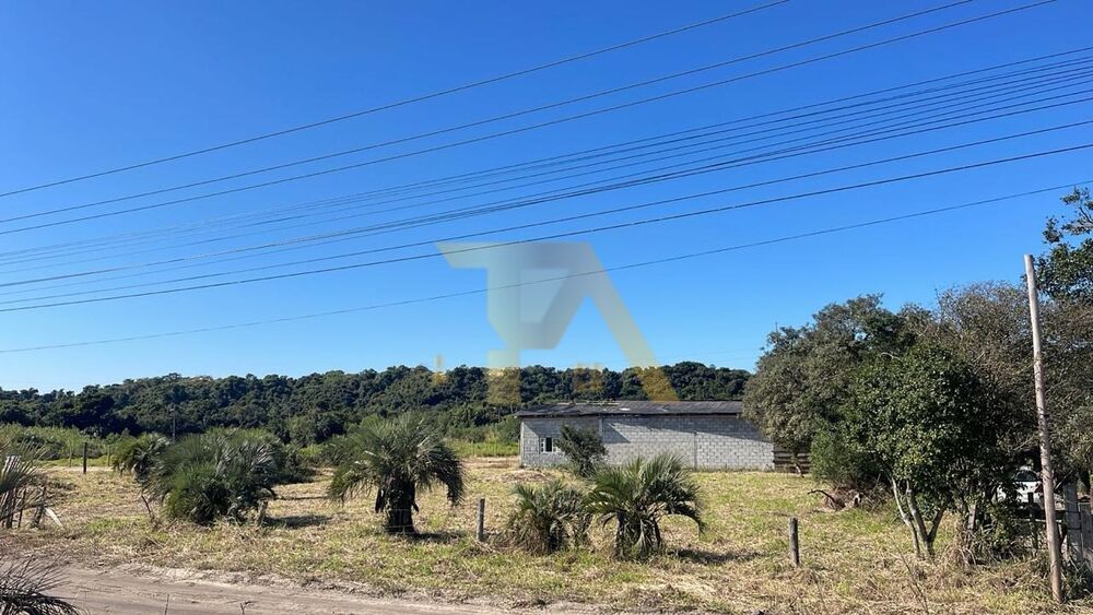 Terreno, 1631 m² - Foto 3