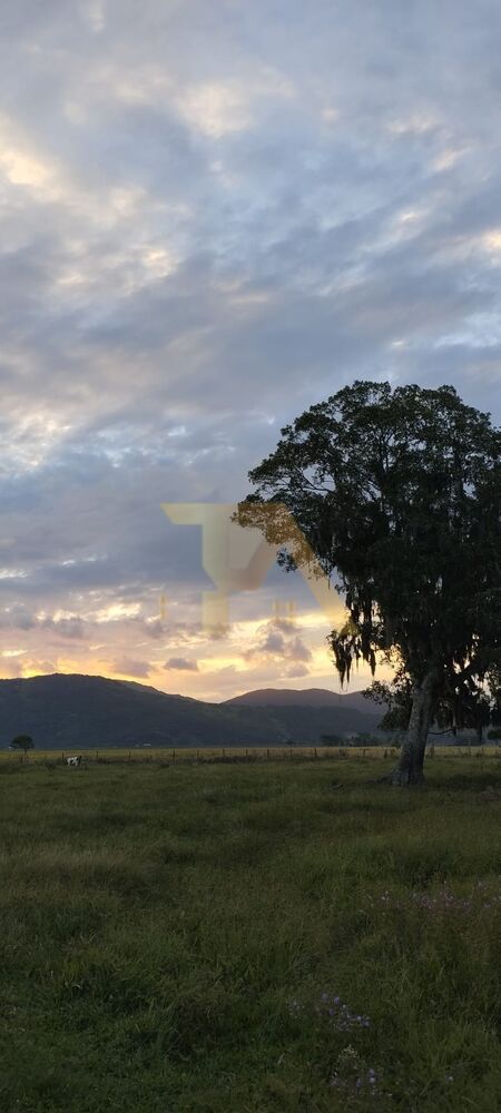 Terreno, 1478 m² - Foto 1