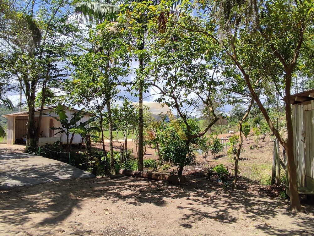 Sítio, 3 quartos, 1 hectares - Foto 18