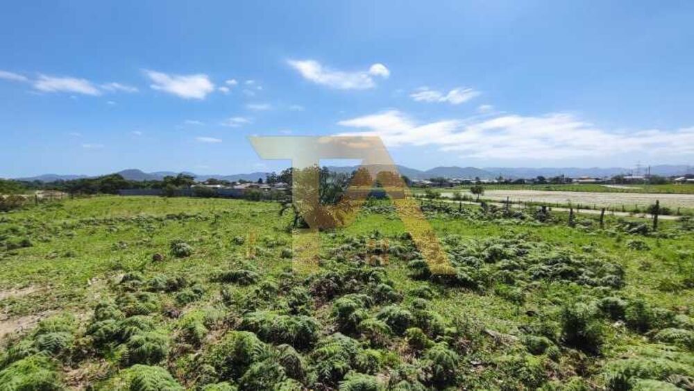 Terreno, 7600 m² - Foto 8