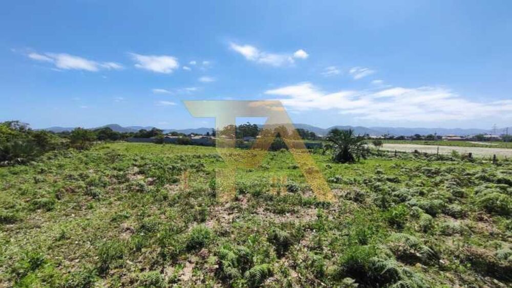 Terreno, 7600 m² - Foto 7