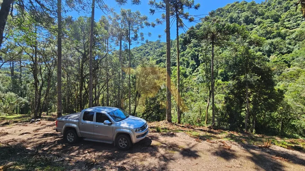 Terreno - Foto 5