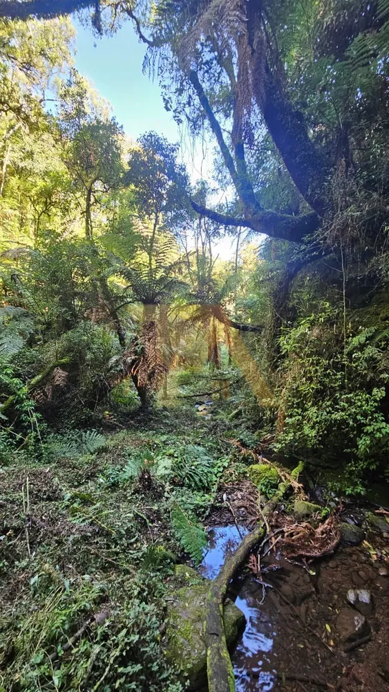 Terreno - Foto 6