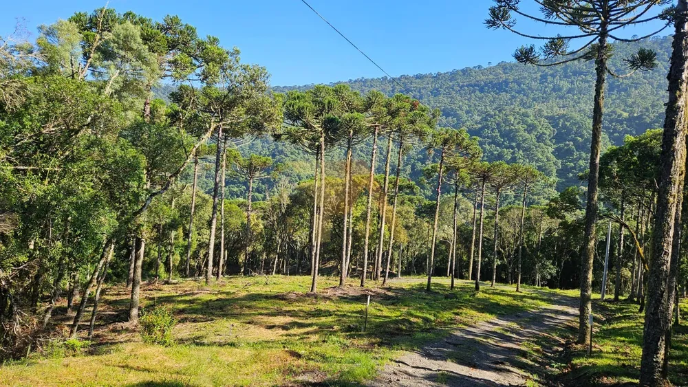 Terreno - Foto 1