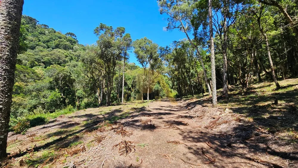 Terreno - Foto 4